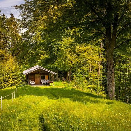 Appartement Vorderreithbauer à Hof bei Salzburg Extérieur photo