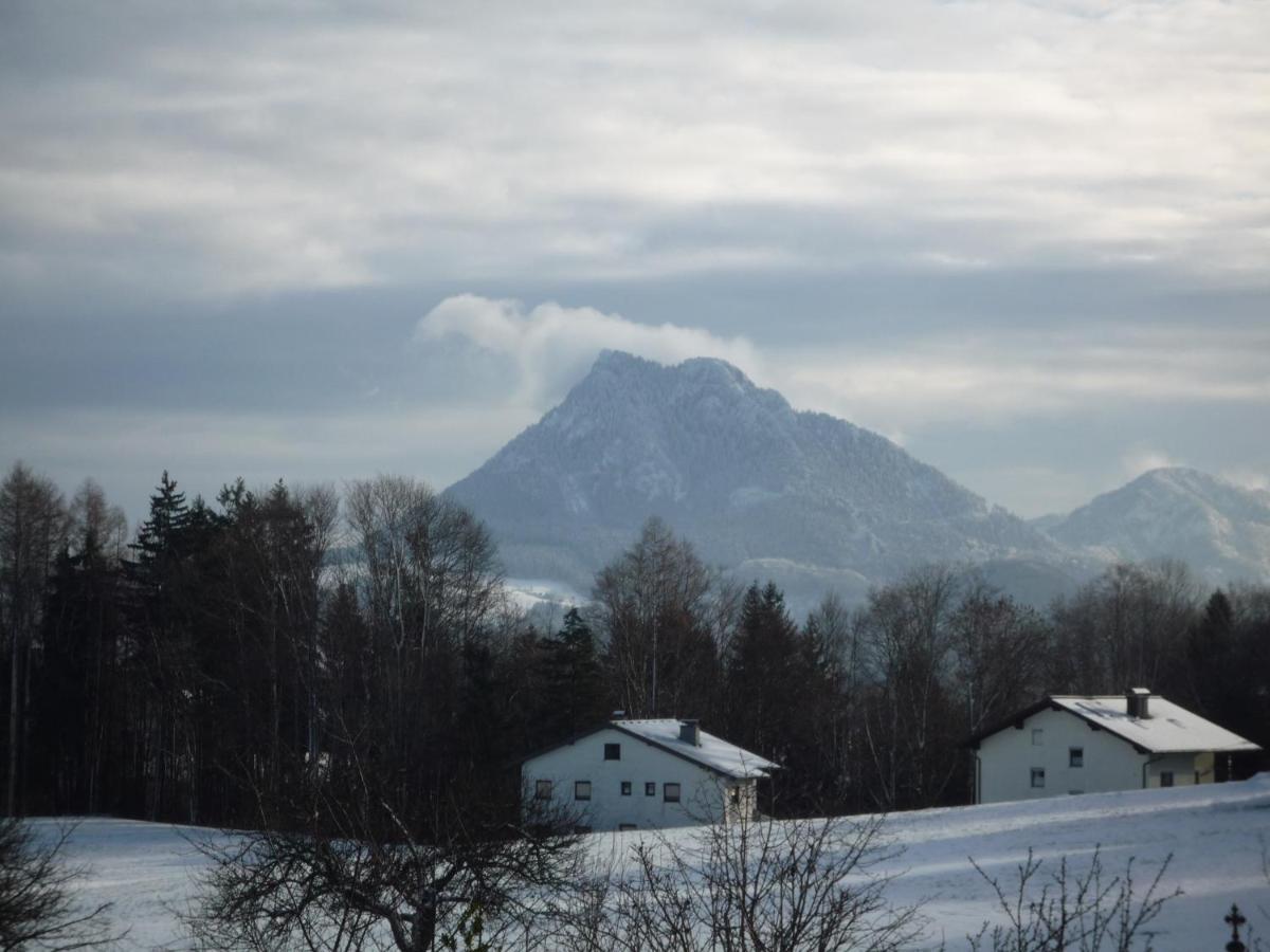 Appartement Vorderreithbauer à Hof bei Salzburg Extérieur photo